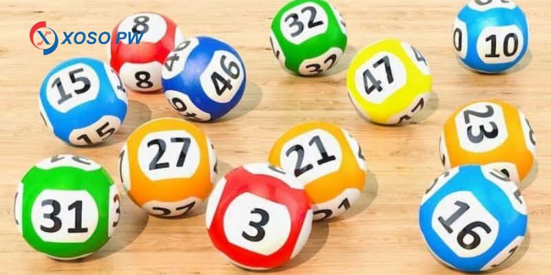 T&igrave;m hiểu c&aacute;ch nu&ocirc;i l&ocirc; khung 2 ng&agrave;y