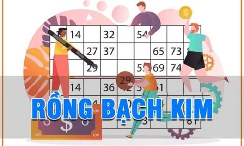 t&igrave;m hiểu kinh nghiệm soi cầu rồng bạch kim